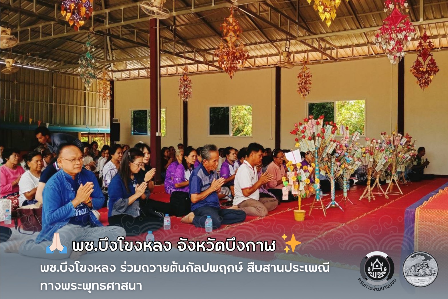 🙏🏻✨ พช.บึงโขงหลง ร่วมถวายต้นกัลปพฤกษ์ สืบสานประเพณีทางพระพุทธศาสนา ✨